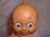 Steddyeddy