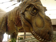 image for Dawkins admits inventing Creationism
