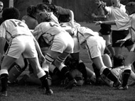 image for Rugby: What the Fuck's it all about?