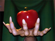 image for Snow White Bonanza In Nude Photo Discovery