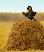 9507 2617Haystack jpg