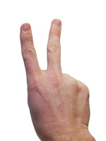 image for US Military approves middle one-finger salute when saluting Obama